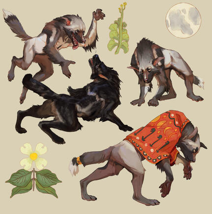 Werewolves A collection of different poses of a werewolf