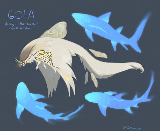 Gola Reference Gola Reference
