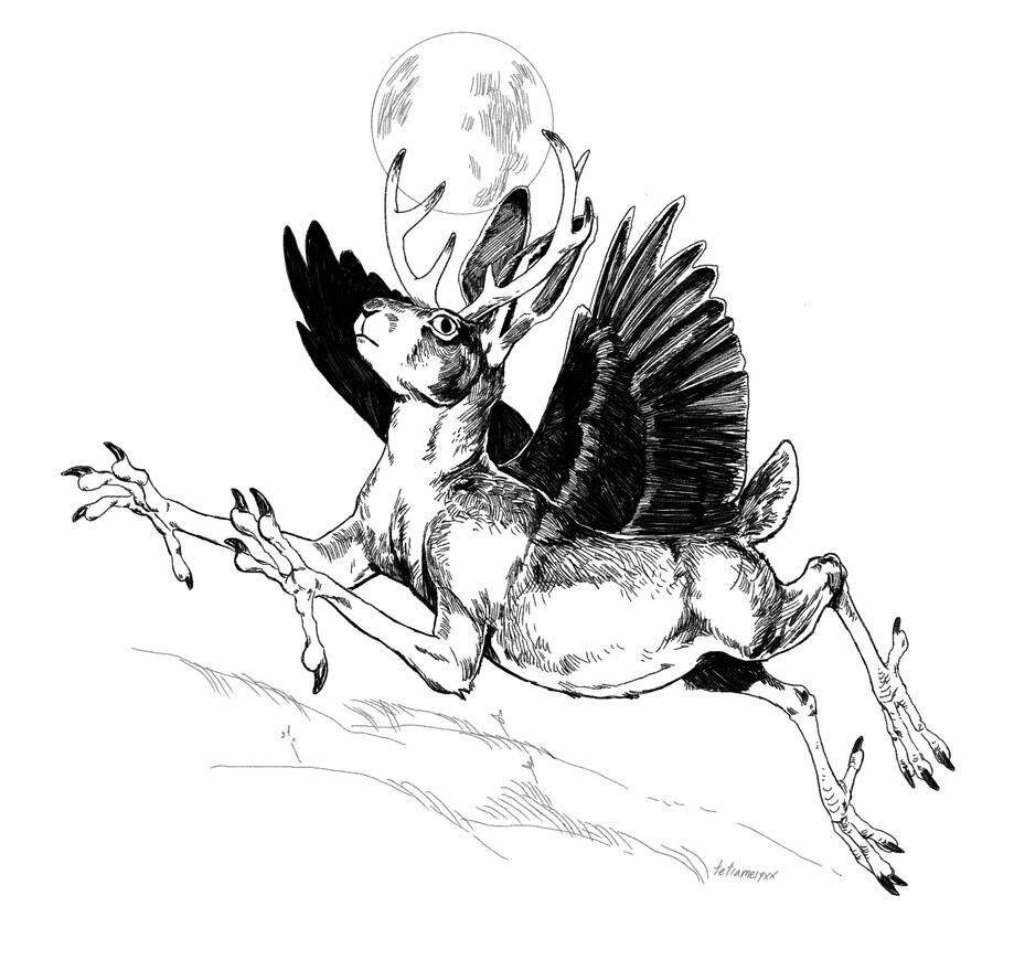 A creature leaps over a field at night. It's a mixture between a crow, a deer, and a rabbit, resembling a type of winged jackalope