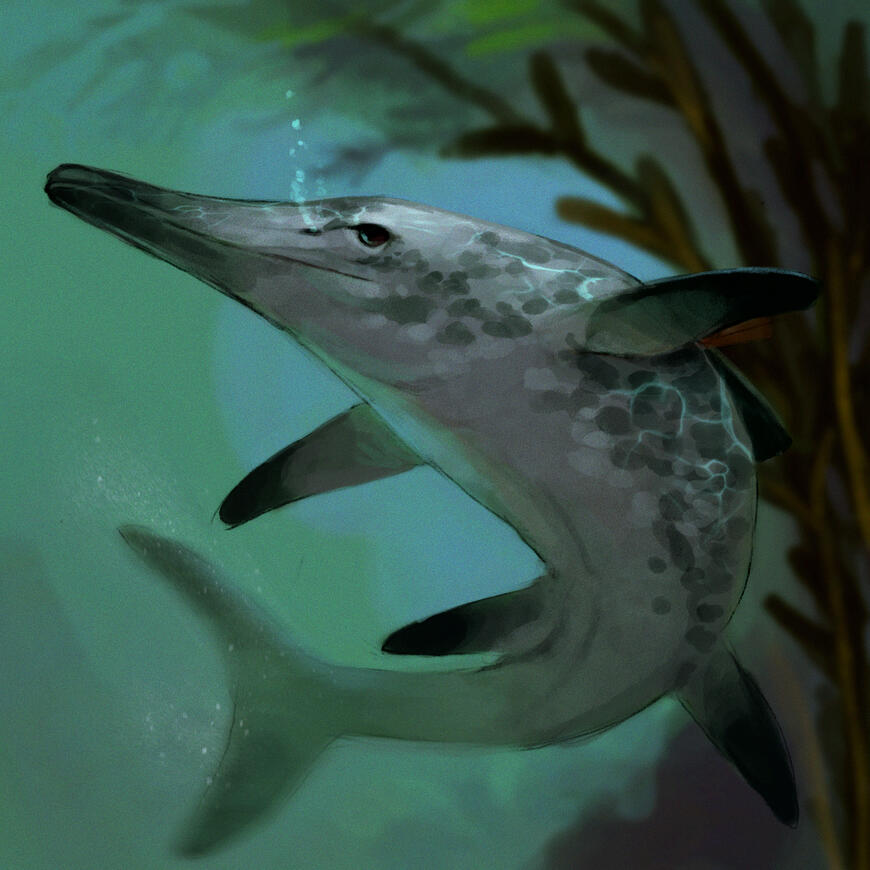 A large icthyosaur swims through a shady kelp forest