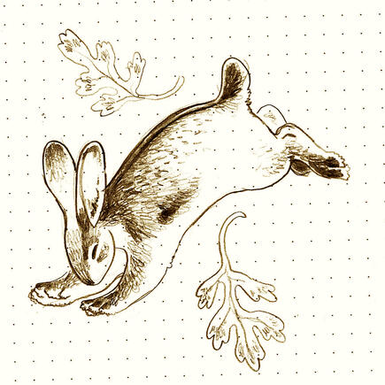 Rabbit Rabbit